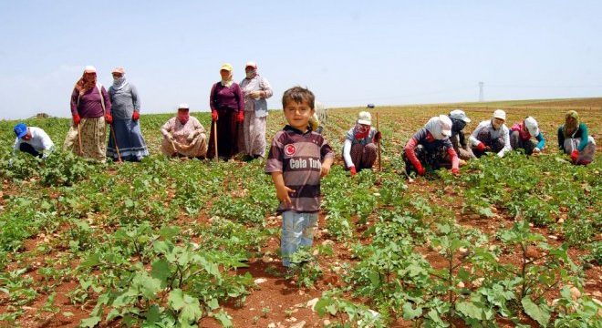 mevsimlik-isci-yillik-ucretli-izin